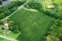 Knight Corn Maze