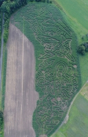 Undersea Corn Maze