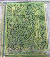 Scarecrow Corn Maze