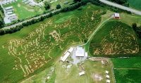 Rocky Corn Maze