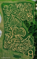 Eliada Corn maze