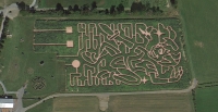 peter pan Corn Maze 