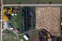Bobcat Corn Maze Rocky Creek Farm 2014 