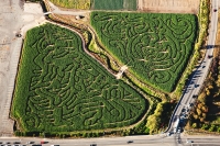 Headless Horseman Corn Maze
