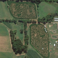 gnome corn maze