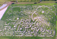 America Corn Maze