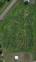 Pig and Spider GPS corn maze
