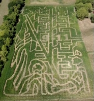 911 corn maze