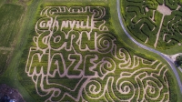 granville corn maze