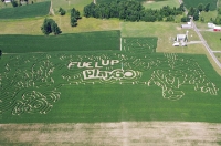 fuel up corn maze