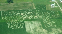 fuel up play 60 corn maze