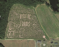 visit nc corn maze