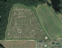 Gross Farms corn maze