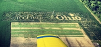 ohio corn maze