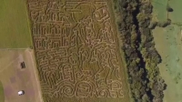 Circle N Corn Maze