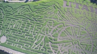 Pioneer Corn Maze
