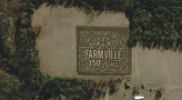 farmville corn maze