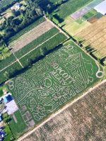 Hopcott Meats Corn Maze