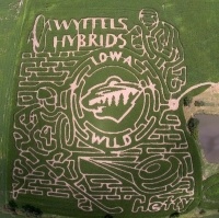 Maxwell Corn Maze Back