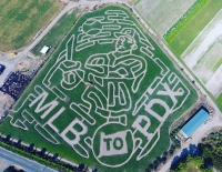 MLB PDX Corn Maze 