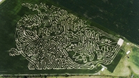 Prehistoric corn maze