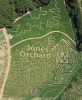 Farm Corn Maze 