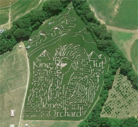 King Tut Corn Maze