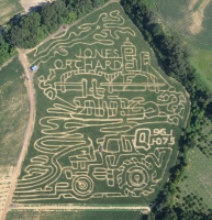 jones corn maze