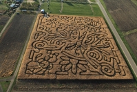 Tanners Corn maze