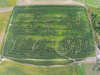 Konow Corn Maze 2014 Dragonfly Foundation Pig Cow Rabbit