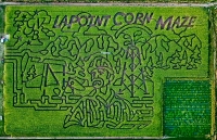 Lapoint oil miners corn maze