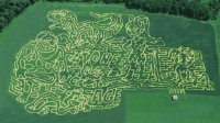 stone age corn maze