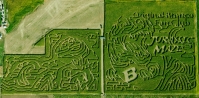 Jurassic Corn Maze
