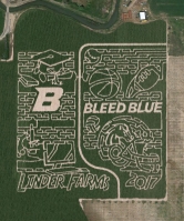 boise state bronco corn maze