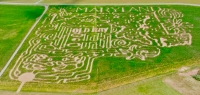 Maryland corn maze