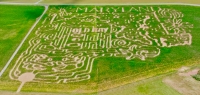 Maryland corn maze