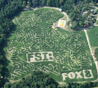 FSI Corn Maze 