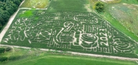 Tractor Corn Maze
