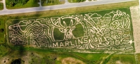 Wildlife Corn maze 