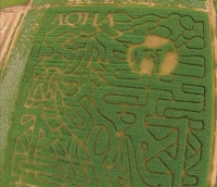 aloha horse corn maze