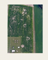 Snow White corn maze