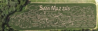 sam mazza's corn maze