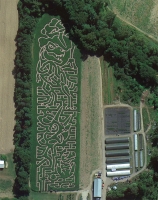 Dinosaur Corn Maze