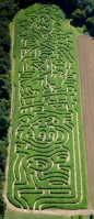 Farm Corn Maze 