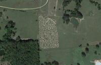 Farm Corn Maze 