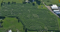 UFO Corn Maze 