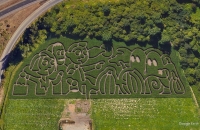 Halloween corn maze