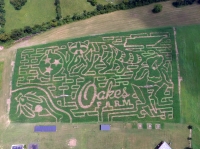 Tennessee State Animals Corn Maze