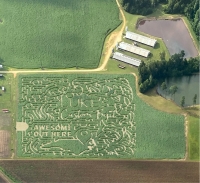 Hubb's corn maze