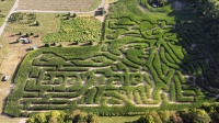 Happy Trails Corn Maze 